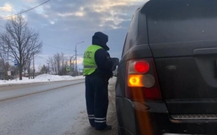 В январе сотрудники ГИБДД дежурили на аварийно-опасных местах магистралей в Ленобласти