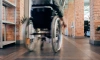 В Петербурге распространят квоты на трудоустройство инвалидов на филиалы компаний