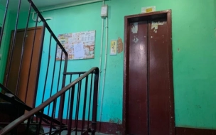 На Софийской улице извращенец надругался над 8-летней девочкой в лифте жилого дома