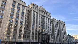 В ГД рассказали, как оформить единый билет для путешествий по России