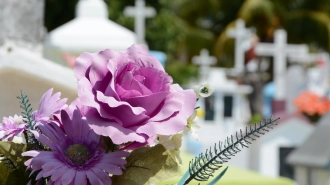 На Красненьком кладбище осквернили две детские могилы
