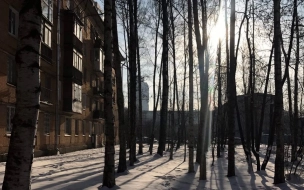 Меньше десяти часов солнце светило в Петербурге в январе