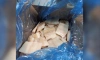 Контроль импортной животноводческой продукции в Петердурге за год вырос почти на 5%