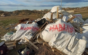 Противники нелегальной свалки пометили мешки с мусором надписью "Навальный"