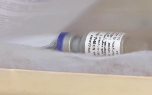 В Словакии одобрили использование вакцины "Спутник V"
