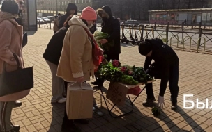 В Петербурге освободили 20 участков от незаконной уличной торговли