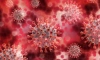 Ученые создали светильник, который может убить коронавирус 