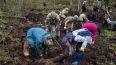 В Ленинградской области осмотрели место крушения советск...