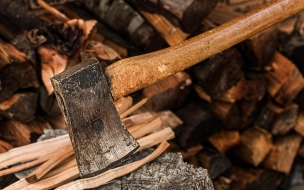 Неравнодушные жители Кингисеппа накололи дрова для пенсионера, у которого сыновья участвуют в СВО