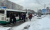 Большая часть автобусов в Петербурге переведена на газовое топливо