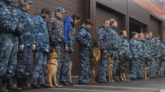 В Петербурге военных собак привьют от коронавируса перед Парадом Победы