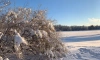 В Ленобласти 26 января будет морозно и облачно