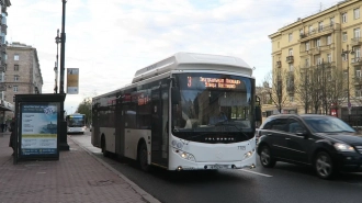 Неизвестные с битами набросились на водителя автобуса в Петербурге