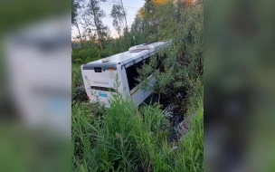 В Подмосковье водитель автобуса съехал в кювет