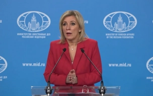 Захарова раскритиковала идею США о покупке Командорских островов