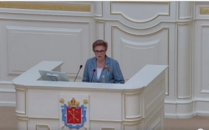 В Петербурге 23 муниципальных депутата отчитались о своих доходах позже положенного срока
