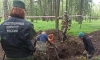 В Гатчине нашли новые захоронения жертв нацистов