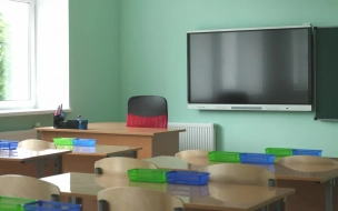 На дистанционном обучении в Петербурге находятся 96 классов и 19 групп детсадов