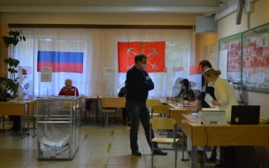 Петербургскому омбудсмену поступило почти 300 сообщений о нарушениях на выборах