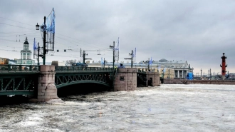 Движение троллейбусов по Дворцовому мосту приостановят на 2 часа