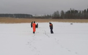 СК Ленобласти предупредил об опасности травмирования граждан зимой