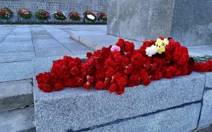 Делегация из Петербурга возложила цветы к мемориальному комплексу "Героям Сталинградской битвы"
