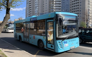 На время реконструкции "Чернышевской" запустят дополнительные автобусы