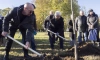 В сквере Памяти высадили 11 именных деревьев в честь погибших участников СВО