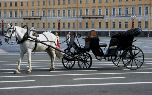 Петербург примет около 600 тысяч гостей за все майские праздники