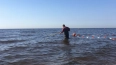 В Петербурге и Ленобласти не выявлены пригодные для ...