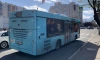 Более 9,5 тыс. профессиональных водителей автобусов работают в Петербурге