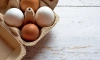 Российские власти призвали ритейлеров повысить закупочные цены на яйца 