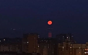 Небо над Петербургом окрасила "кровавая" луна