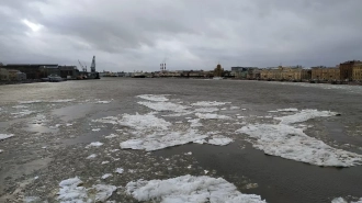 В Петербурге львы с Дворцового причала отправились на реставрацию