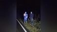 Спасатели вывели заблудившегося мужчину из леса в ...