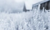 В Ленобласти 28 ноября в большинстве районов пройдёт снег