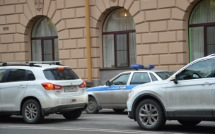 В Петербурге задержали подозреваемых в наркоторговле, напавших на полицейских на кладбище
