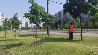 Благоустройством сквера в Янино-1 займётся с ООО  "Орбита"