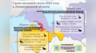 Названы сроки весенней охоты под Петербургом в 2025 году