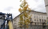 Из-за интенсивного листопада было увеличено количество уборочной техники в Петербурге