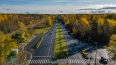 Опавшие листья на дороге могут быть опаснее гололёда: ...
