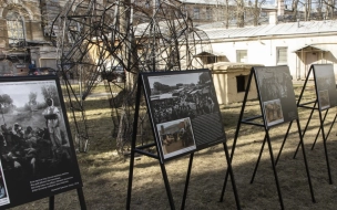 В рамках саммита Россия — Африка пройдет выставка об экспедиция Николая Гумилева