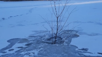 Стало известно, сколько детей провалилось под лед в Петербурге и погибло