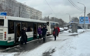 В комтрансе Ленобласти посоветовали, что делать, если автобус проехал мимо нужной остановки