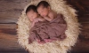 В Ленобласти за прошлую неделю родились семь пар двойняшек