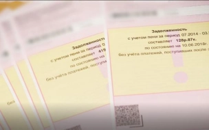 С начала года более 700 тысяч петербуржцев обратились за субсидией на оплату ЖКУ