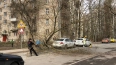 В Петербурге 19 апреля ожидаются метель и порывы ветра д...