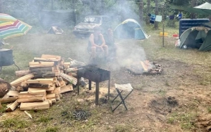 За выходные в лесах Ленобласти поймали восемь нарушителей противопожарного режима