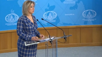 Захарова пошутила, что Зеленский не оставил попыток попасть на саммит на Аляске