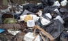 Более 180 кг химических отходов собрали петербургские экологи за неделю